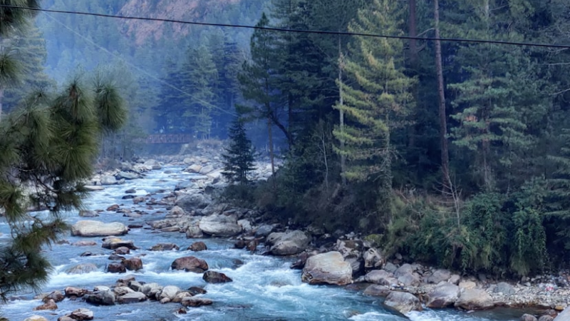 Manali & Shimla Volvo